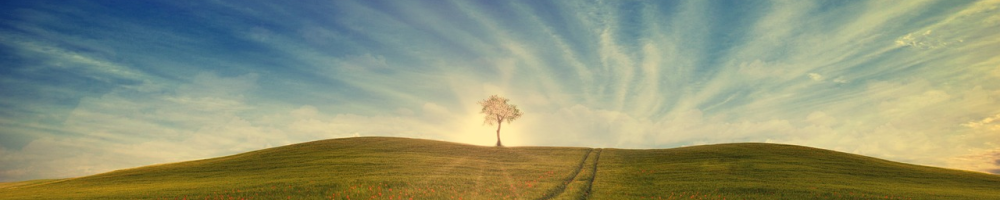 Hopeful image of sun shining through a tree on a green field